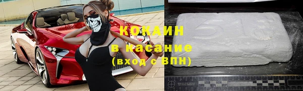 стафф Касимов