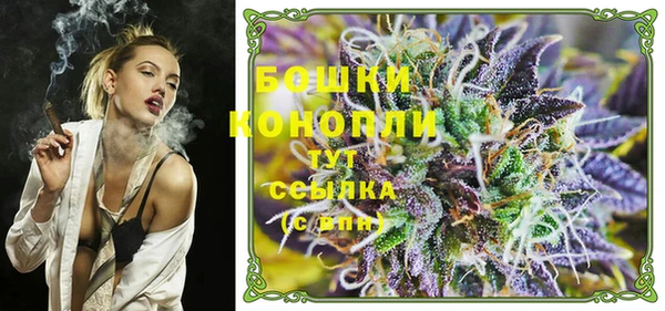 стафф Касимов