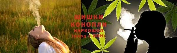 стафф Касимов