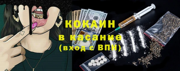 стафф Касимов