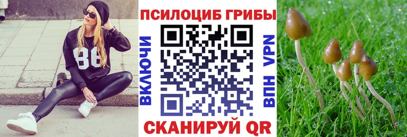 Галлюциногенные грибы ЛСД  OMG ссылка  Строитель 