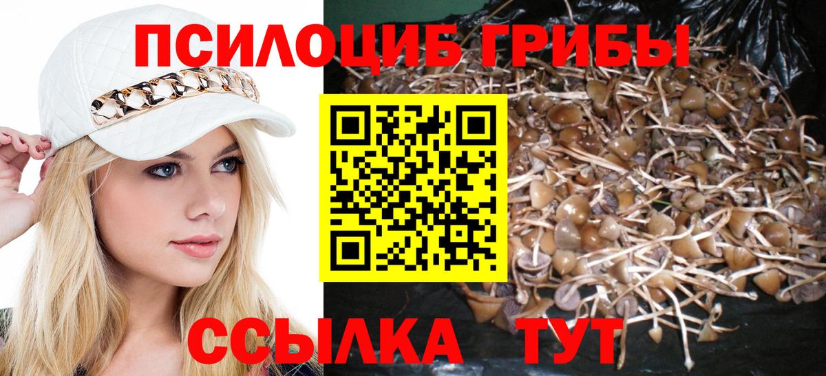 Галлюциногенные грибы мухоморы Строитель