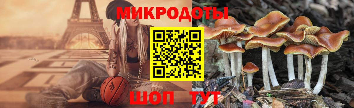 Строитель  Галлюциногенные грибы прущие грибы  Псилоцибиновые грибы Psilocybe  Вход с VPN 