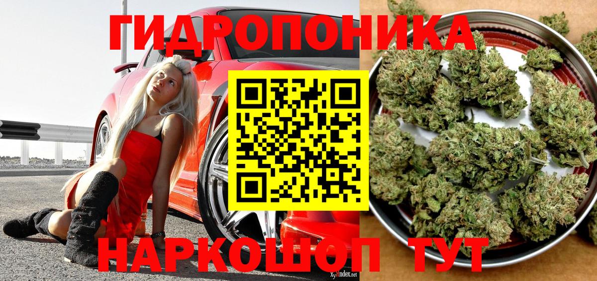 Бошки марихуана MAZAR  Каннабис AK-47  МАРИХУАНА Ganja  Вход с VPN  Строитель  Конопля Ganja 